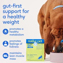 Native Pet Gutwell Trim Down, Weight Management & Metabolic Supplement for Dogs (60 scoops)