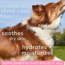 Native Pet Skin + Coat Healthy Skin Chews for Dogs