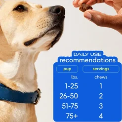 Native Pet Skin + Coat Healthy Skin Chews for Dogs