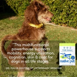 Native Pet The Daily Powder Supplement 11-in-1 Multivitamins for Dogs