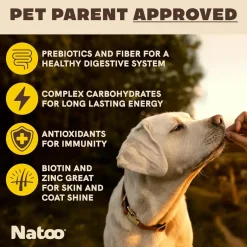 Natoo Crunchy Biscuits Big Bite Oats, Banana, & Honey Flavor for Large Dogs, 8-oz