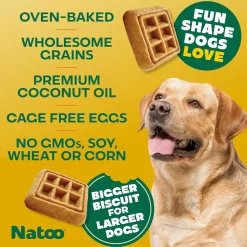 Natoo Crunchy Biscuits Big Bite Oats, Banana, & Honey Flavor for Large Dogs, 8-oz