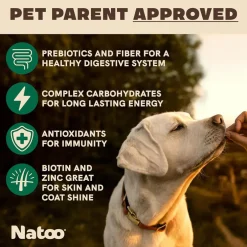 Natoo Crunchy Biscuits Big Bite Coconut & Mango Flavor Dog Treats, 8-oz