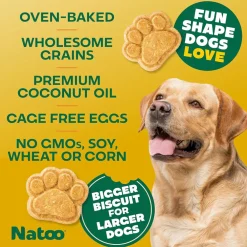 Natoo Crunchy Biscuits Big Bite Coconut & Mango Flavor Dog Treats, 8-oz