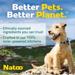 Natoo Crunchy Biscuits Big Bite Coconut & Mango Flavor Dog Treats, 8-oz