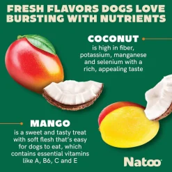 Natoo Crunchy Biscuits Coconut & Mango Flavor Dog Treats, 8-oz