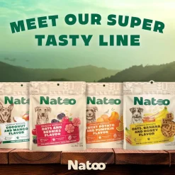 Natoo Crunchy Biscuits Coconut & Mango Flavor Dog Treats, 8-oz