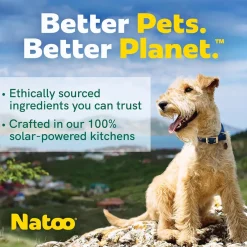 Natoo Crunchy Biscuits Oats, Banana, & Honey Flavor for All Size Dogs, 8-oz