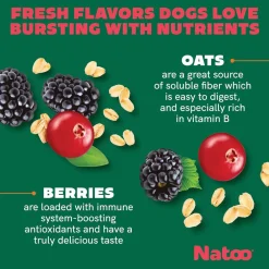Natoo Crunchy Biscuits Oats & Berries Flavor Dog Treats, 8-oz