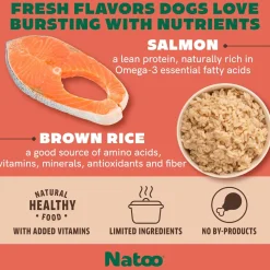 Natoo Meal Topper or Treat Salmon & Brown Rice in Broth Dog Food, 3 oz