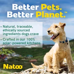 Natoo Meal Topper or Treat Salmon & Brown Rice in Broth Dog Food, 3 oz