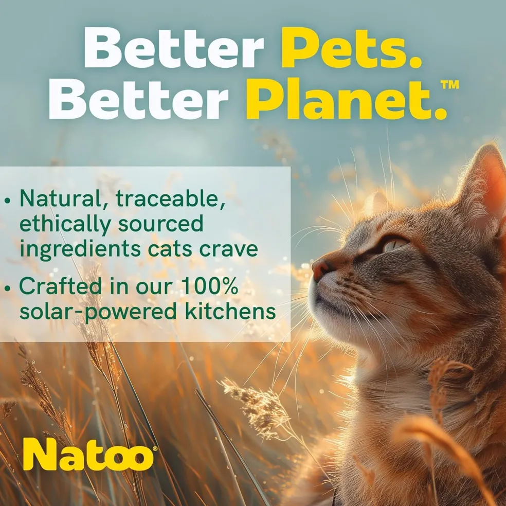Natoo Meal Topper or Treat Tuna & Brown Rice in Broth Cat Food