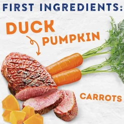 Natural Balance Pet Foods Original Ultra Platefulls Wet Dog Food Pouch Savory Duck & Pumpkin Recipe, 9-oz case of 12