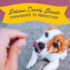 Natural Balance Pet Foods Rewards Bite-Size Crunchy Biscuits Small Breed Dog Treats Venison, 8-oz