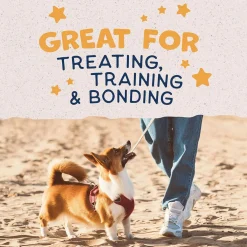 Natural Balance Pet Foods Rewards Bite-Size Crunchy Biscuits Small Breed Dog Treats Duck, 8-oz