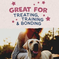 Natural Balance Rewards Crunchy Biscuits with Real Venison Dog Treats