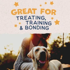 Natural Balance Rewards Crunchy Biscuits with Real Duck Dog Treats