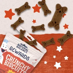 Natural Balance Rewards Crunchy Biscuits with Real Salmon Dog Treats