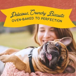 Natural Balance Rewards Crunchy Biscuits with Real Salmon Dog Treats