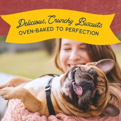 Natural Balance Rewards Crunchy Biscuits with Real Bison Dog Treats