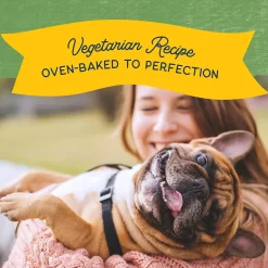 Natural Balance Rewards Crunchy Biscuits with Peanut Butter Dog Treats, 14-oz