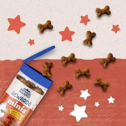 Natural Balance Rewards Minis with Real Salmon Dog Treats, 5.3-oz