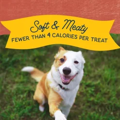 Natural Balance Rewards Minis with Real Salmon Dog Treats, 5.3-oz