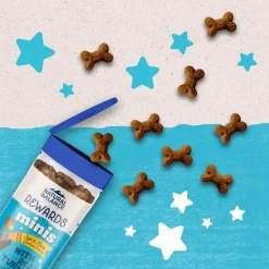Natural Balance Rewards Minis with Real Turkey Dog Treats, 5.3-oz