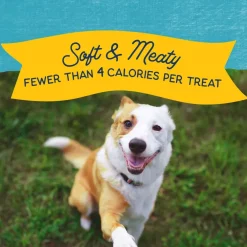 Natural Balance Rewards Minis with Real Turkey Dog Treats, 5.3-oz