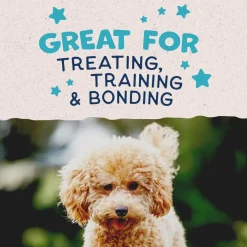 Natural Balance Rewards Minis with Real Turkey Dog Treats, 5.3-oz
