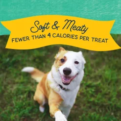 Natural Balance Rewards Minis Dog Treats with Real Chicken