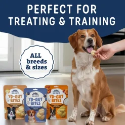 Natural Balance Yo-Gut Bites Crunchy Dogs Treats