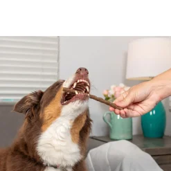 Natural Cravings Beef Sizzle Waggers Soft Jerky Sticks for Dogs, 12-oz