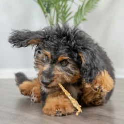 Natural Cravings USA Turkey Tendons Chew for Dogs & Cats, 3-oz