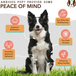 Natural Dog Company Calming Soft Chews for Dogs (90 Chews)