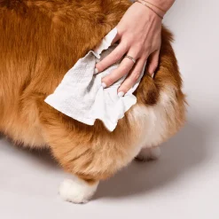 Natural Dog Company Extra Large Grooming Wipes (50 wipes)