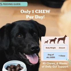 Natural Dog Company Gut Health & Digestion Dog Probiotics (45 Soft Chews)