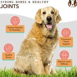 Natural Dog Company Hip & Joint Soft Chews for Dogs (90 Chews)