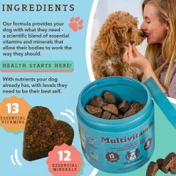 Natural Dog Company Multivitamin All-In-One Soft Chews for Dogs (90 Chews)