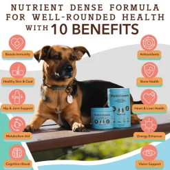 Natural Dog Company Multivitamin All-In-One Soft Chews for Dogs (90 Chews)