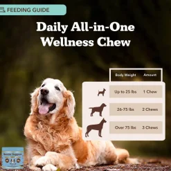Natural Dog Company Senior Support with Adaptogens, Antioxidant, & Amino Acids (90 soft chews)
