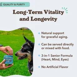 Natural Dog Company Senior Support with Adaptogens, Antioxidant, & Amino Acids (90 soft chews)