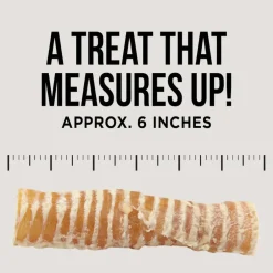 Natural Rapport The Only Beef Trachea Chews Dogs Need