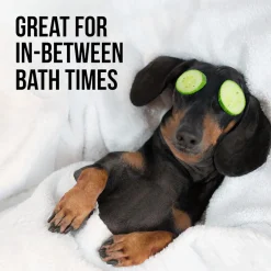 Natural Rapport The Only Between Bath Spray Dogs Need (8 oz)