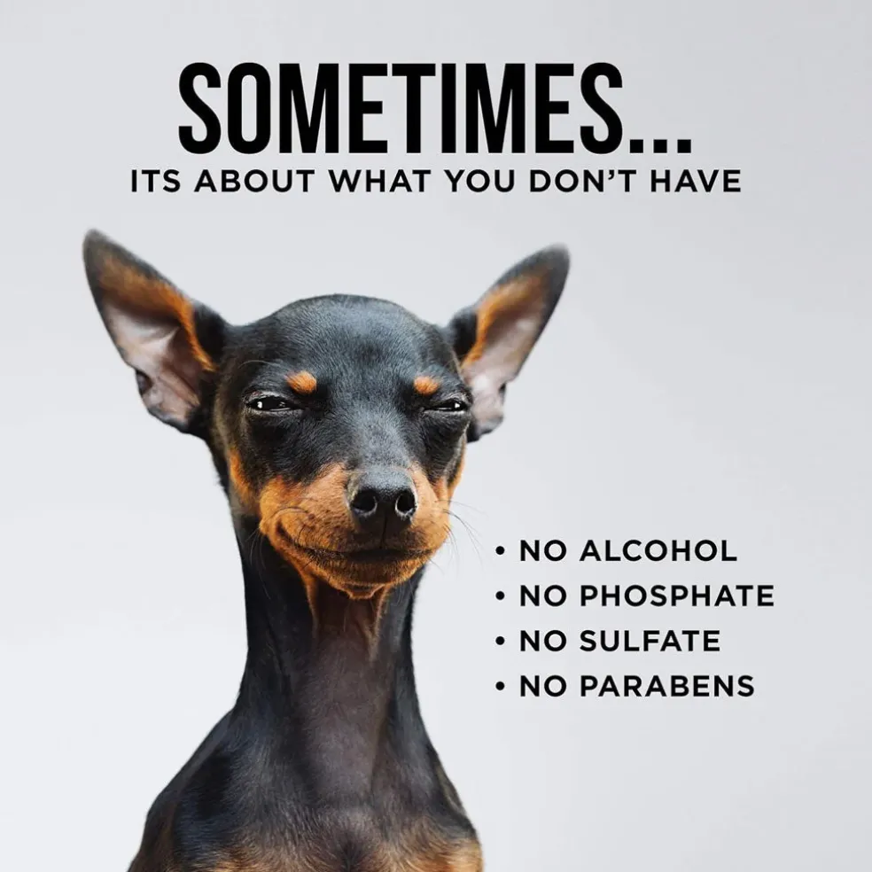 Natural Rapport The Only Ear Cleaner Dogs Need