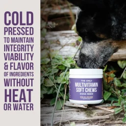Natural Rapport The Only Multivitamin Soft Chews Dogs Need