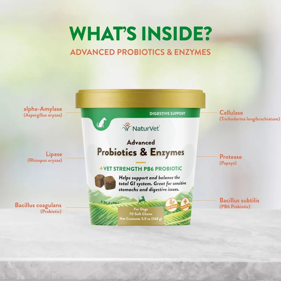 NaturVet Advanced Probiotics & Enzymes Soft Chews Plus Vet Strength PB6 Probiotic for Dogs, 70 count