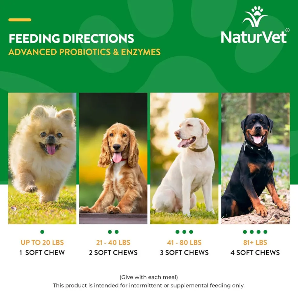 NaturVet Advanced Probiotics & Enzymes Soft Chews Plus Vet Strength PB6 Probiotic for Dogs, 70 count