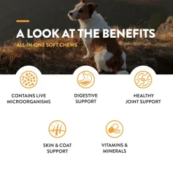 NaturVet All-In-One Daily Esentials Plus 4-in-1 Support for Dogs, 60 soft chews