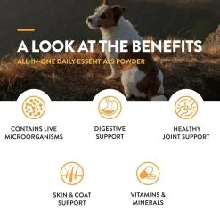 NaturVet All-In-One Daily Essentials Powder Plus 4-in-1 Support for Dogs & Cats, 13-oz